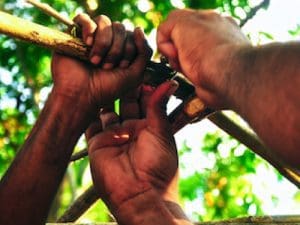 Responding to Vicarious Trauma